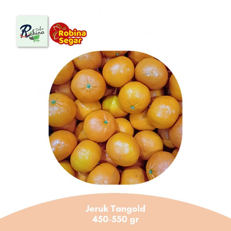 

Jeruk Tangold Segar 500 - 600 gr