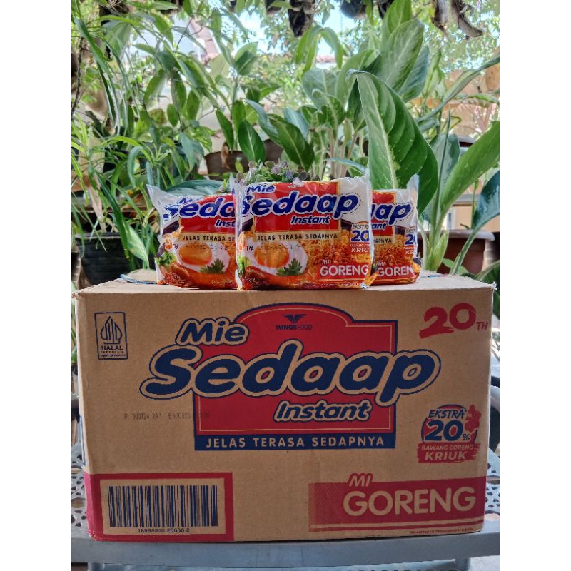 

Mie sedap goreng