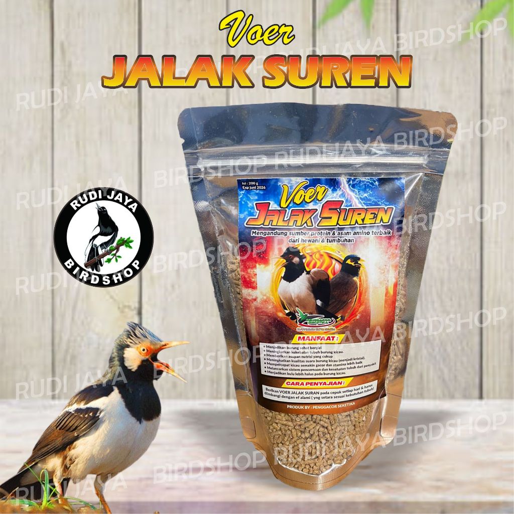 VOER JALAK SUREN BMW PAKAN MAKANAN BURUNG JALAK SEPERTI JALAK UREN JALAK NIAS JALAK KEBO JALAK BALI