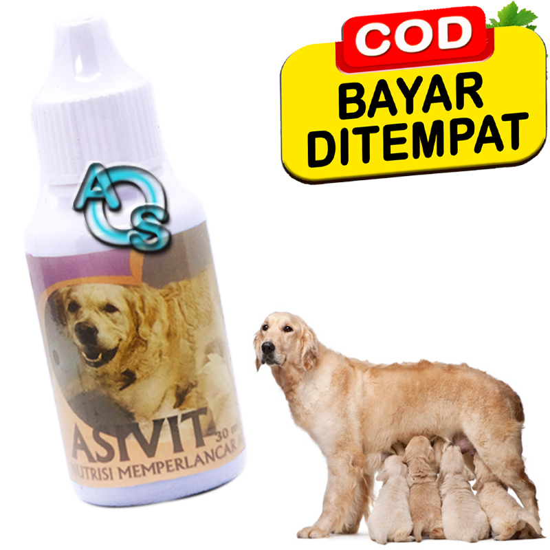 Vitamin Anjing Menyusui Pelancar Air Susu Indukan Asivit Dog Superior Nutrition