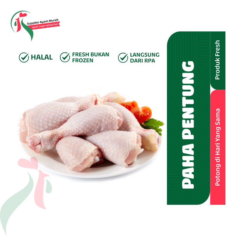 

GROSIR DAGING PAHA BAWAH - PAHA AYAM PENTUNG FRESH /5Kg
