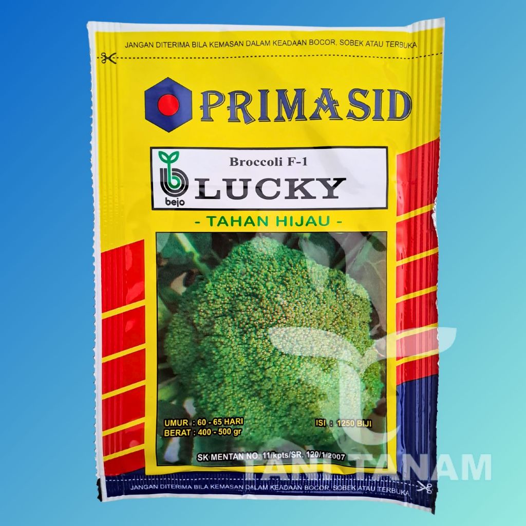 BENIH BEJO BROKOLI LUCKY PRIMASID // BROKOLI HIJAU LUKI