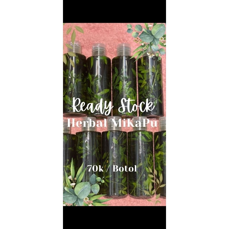 minyak kayu putih rendaman herbal