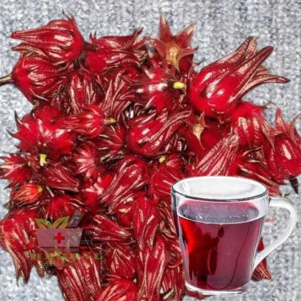 Bunga Rosella Segar Per Bungkus Isi 10 Bunga fresh Hibiscus Sabdariffa