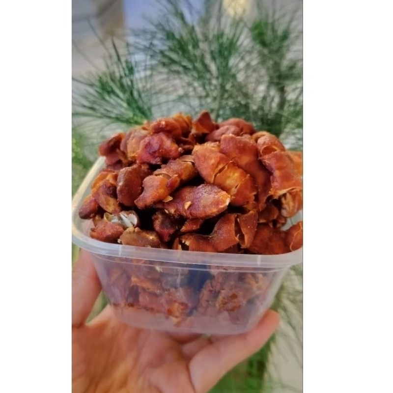 

Asam Jawa Tanpa Biji.
