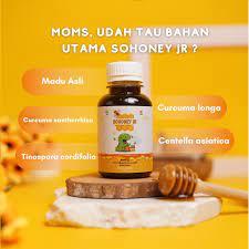 

Madu Sohoney JR madu penambah napsu makan anak anti GTM dijamin asli 100% original