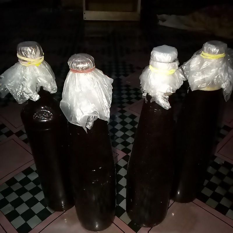 

madu asli 100% lebah hutan kalimantan