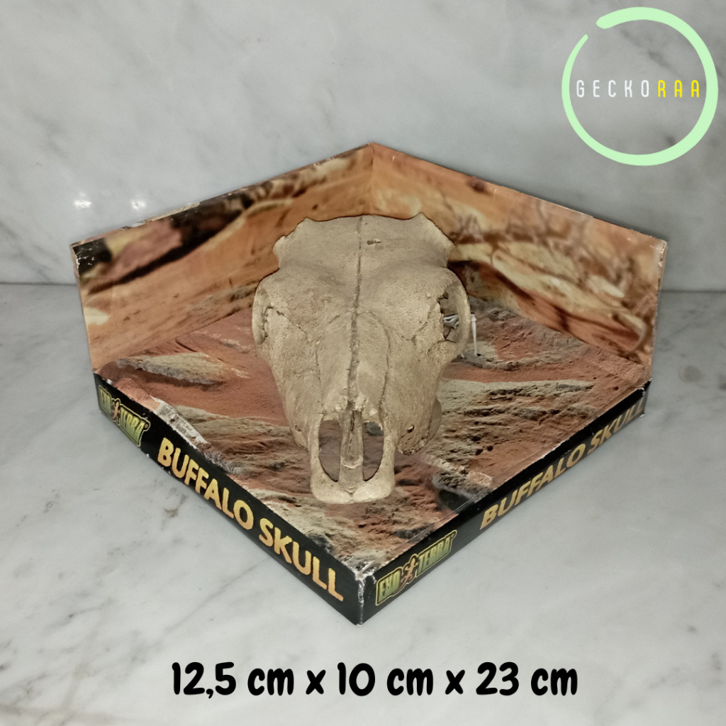 Exoterra Buffalo Skull Tengkorak Kerbau Hiding Cave Hiasan Kandang Reptil Gecko AFT BD