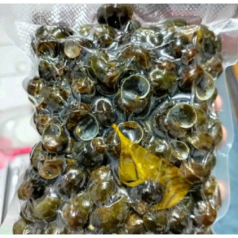 

Tutut Frozzen 300g (sudah berbumbu)