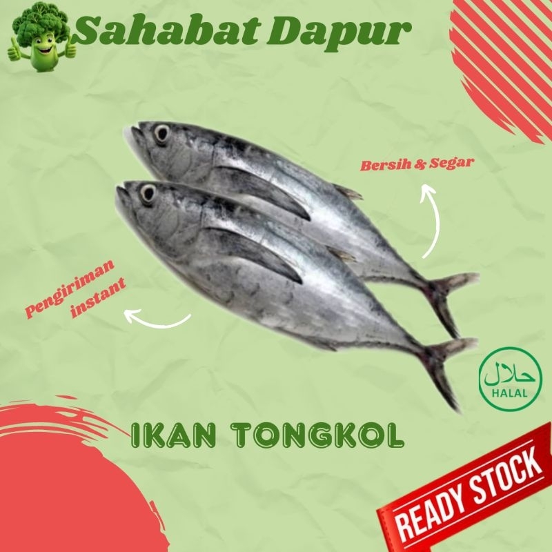 

Ikan tongkol fresh - ikan segar - Sahabat dapur Delivery