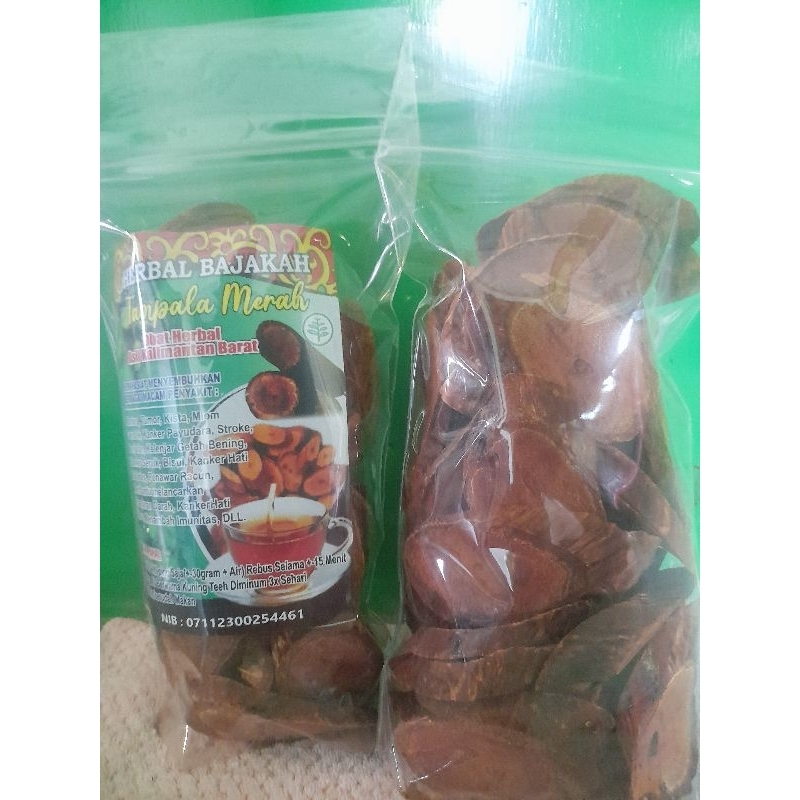 

HERBAL BAJAKAH TAMPALA MERAH ASLI DARI KALIMANTAN BARAT