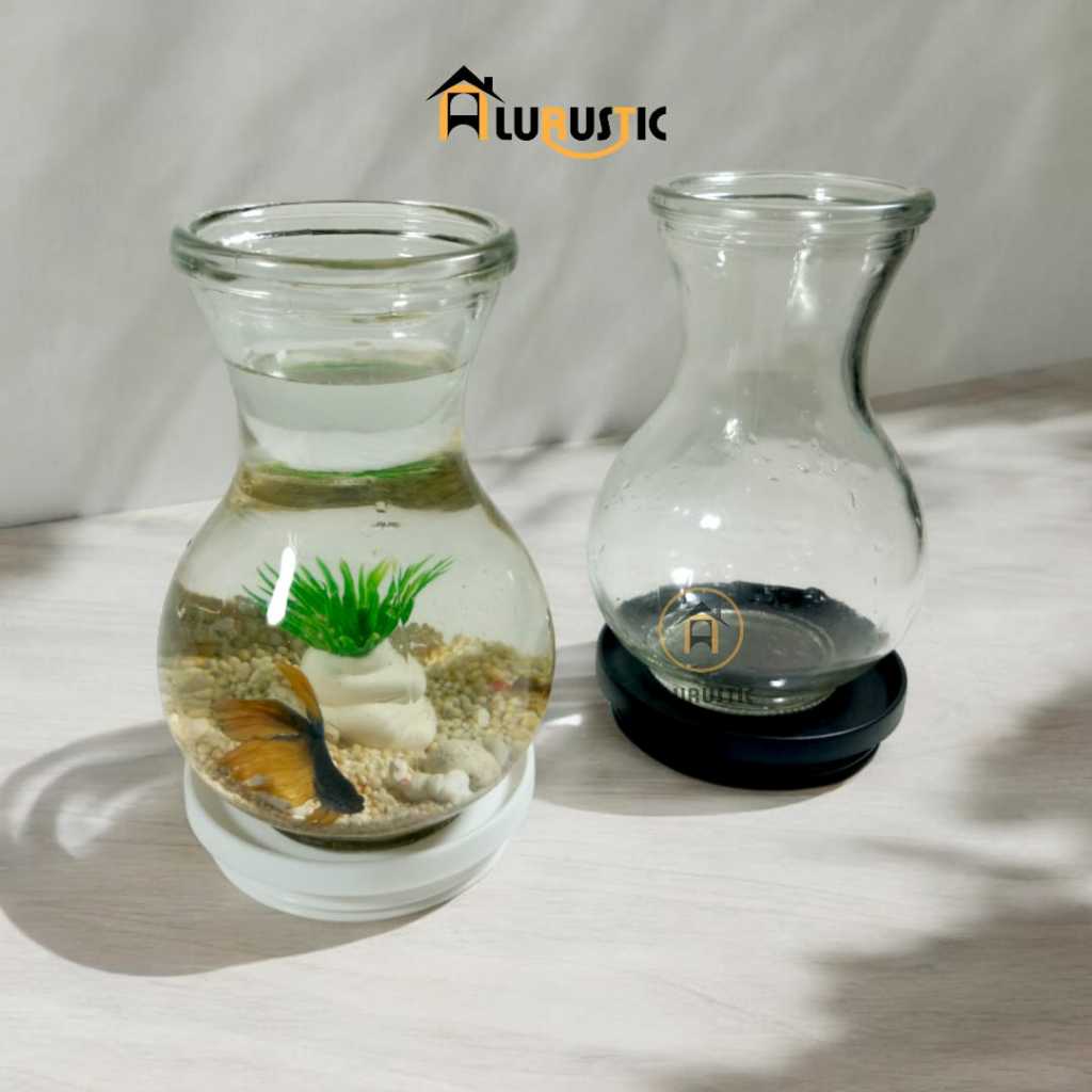 1 SET AQUARIUM KACA TABUNG / AKUARIUM IKAN HIAS / AKUARIUM MINI IKAN  GUPPY CUPANG / AQUASCAPE / AQU