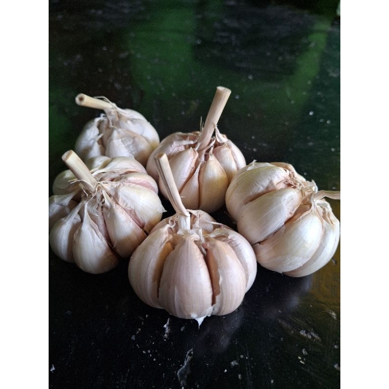 

Bawang putih biasa 1kg