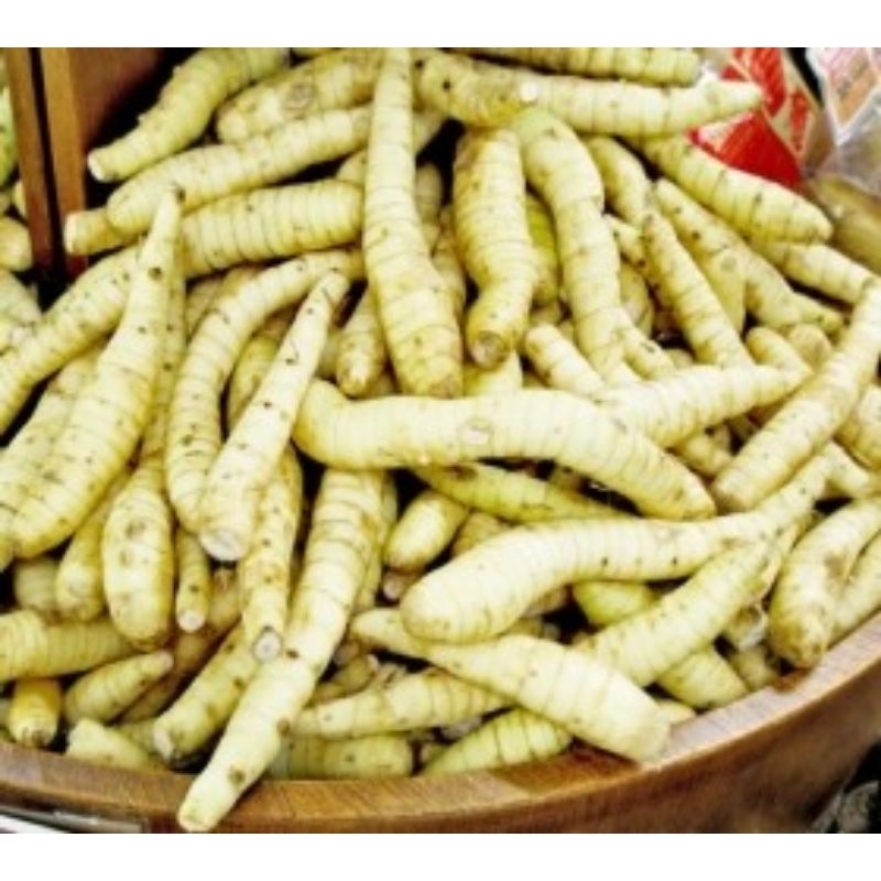 umbi irut/gerut fress 1kg