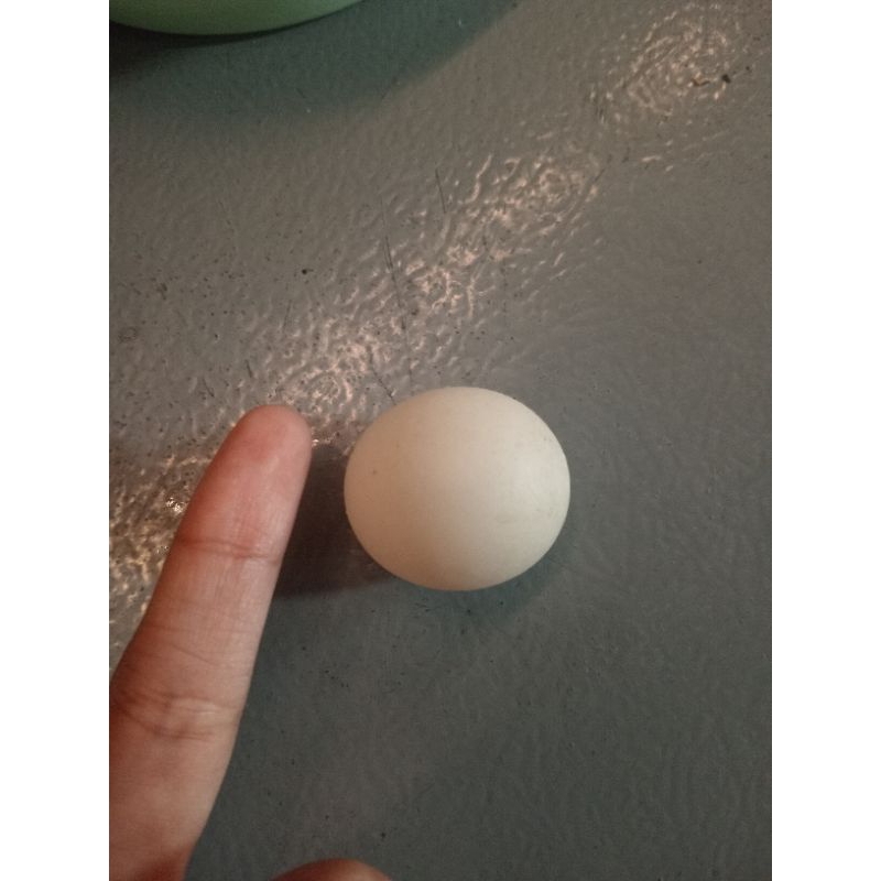 Telur Ayam Jantan/Jago