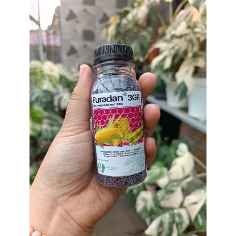 furadan