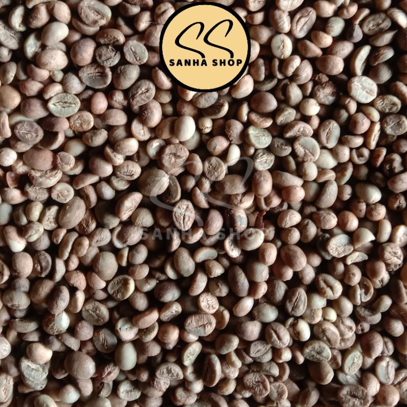 

Green Bean 1KG Kopi Robusta Malang || Petik sendiri, Petani Langsung