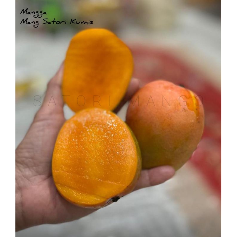 

PAKET 3KG MANGGA GEDONG GINCU INDRAMAYU