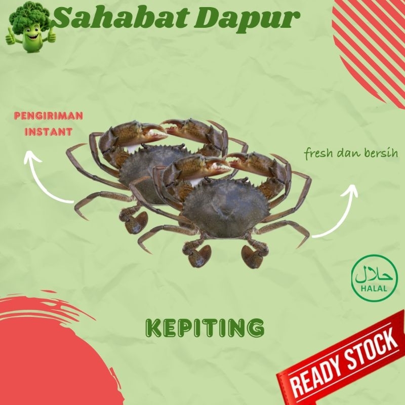 

Kepiting Bakau fresh - sayuran segar palembang- Sahabat dapur Delivery