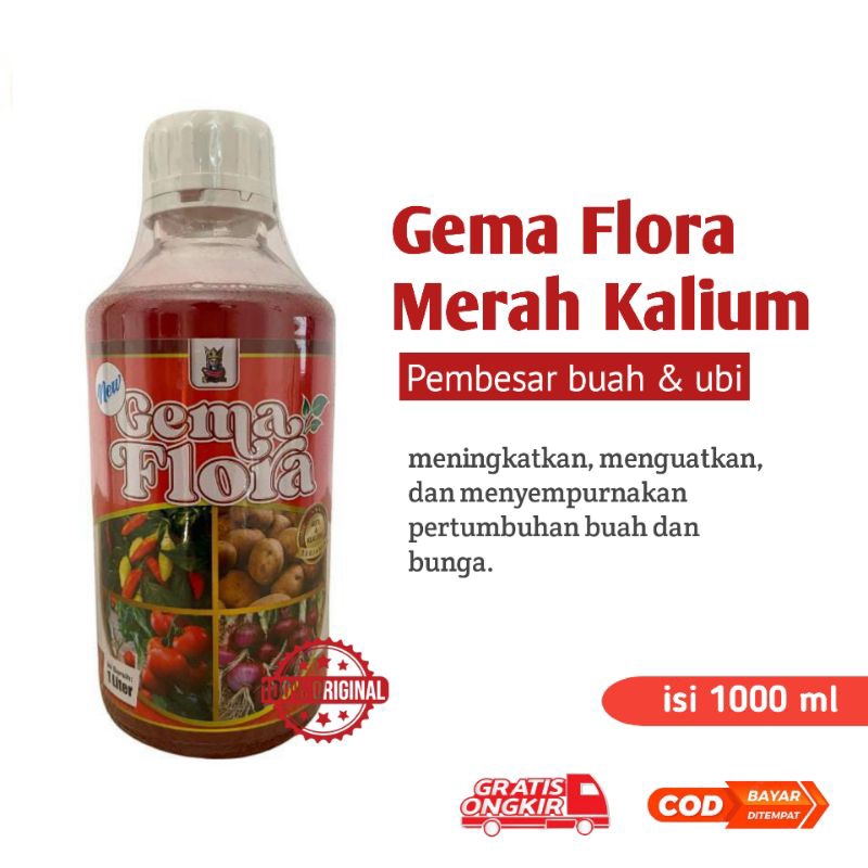 Kalium Cair 1 Liter Gema Flora Kalium Murni Pembesar Buah Dan Umbi Buah