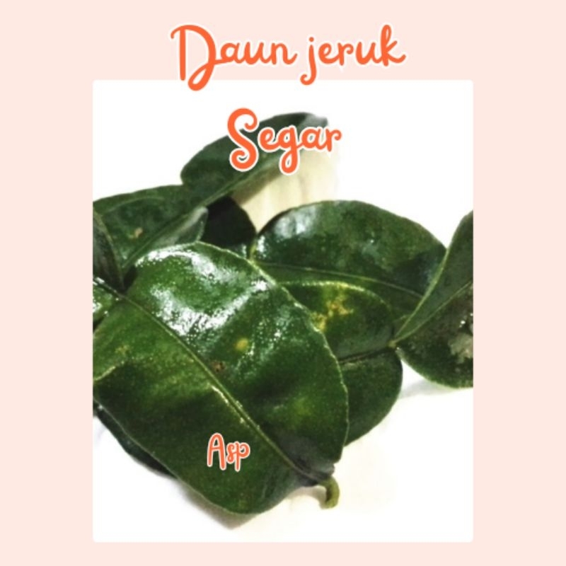 

Daun jeruk untuk masak per 20 lembar