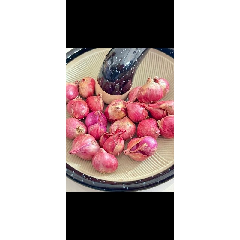 

BAMER | BAWANG MERAH 1 KG + 250 GR KUALITAS TERJAMIN NDOLL BULAT