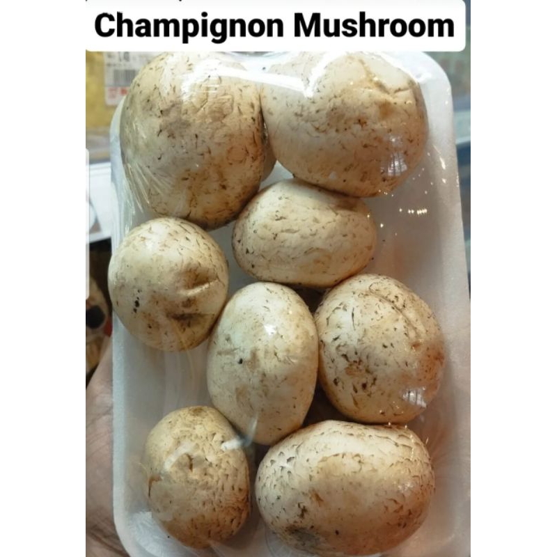 

jamur champignon fresh 250gr