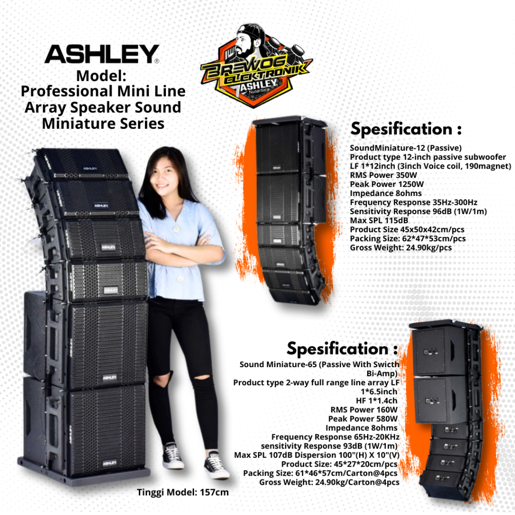 PAKET PROFESSIONAL MINI LINE ARRAY SPEAKER SOUND MINIATURE SERIES ASHLEY