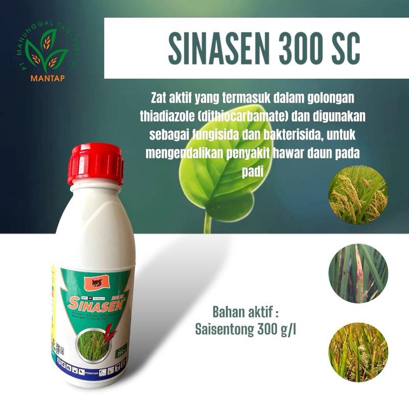 SINASEN 300sc 250ml