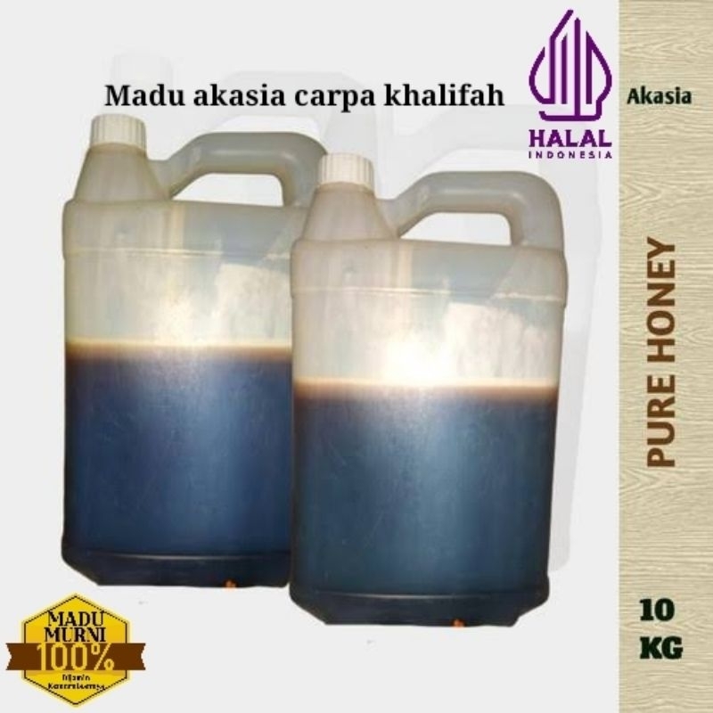 

Grosir madu akasia carpa khalifah 10 kg madu murni 100%