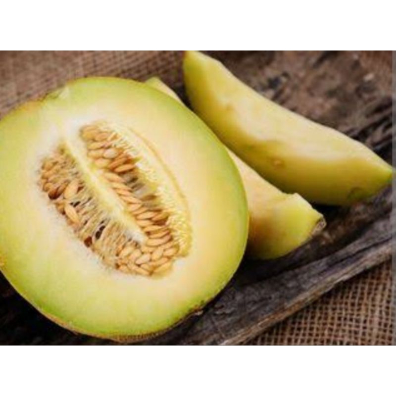 

BIJI BENIH MELON KERING