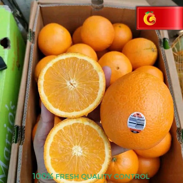 

Buah Jeruk Navel Fresh 1 Kg