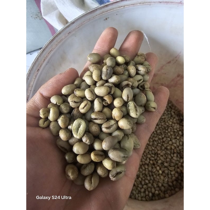 

Greenbean Peaberry Robusta 1 KG