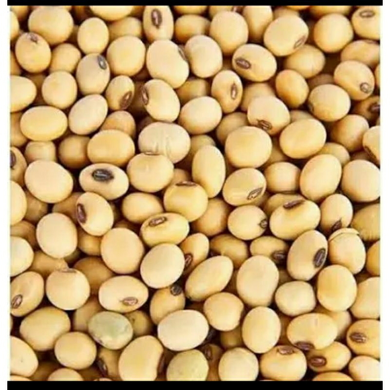

KEDELAI IMPORT BERAT 0.5KG