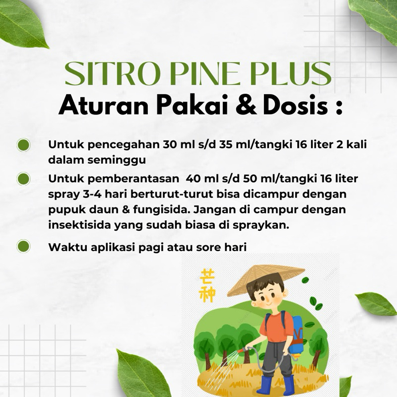 Musangjantan112 Sitro Pine Plus Pestisida Organik Alami Nabati Cair Pembasmi Hama/Insektisida - Spp