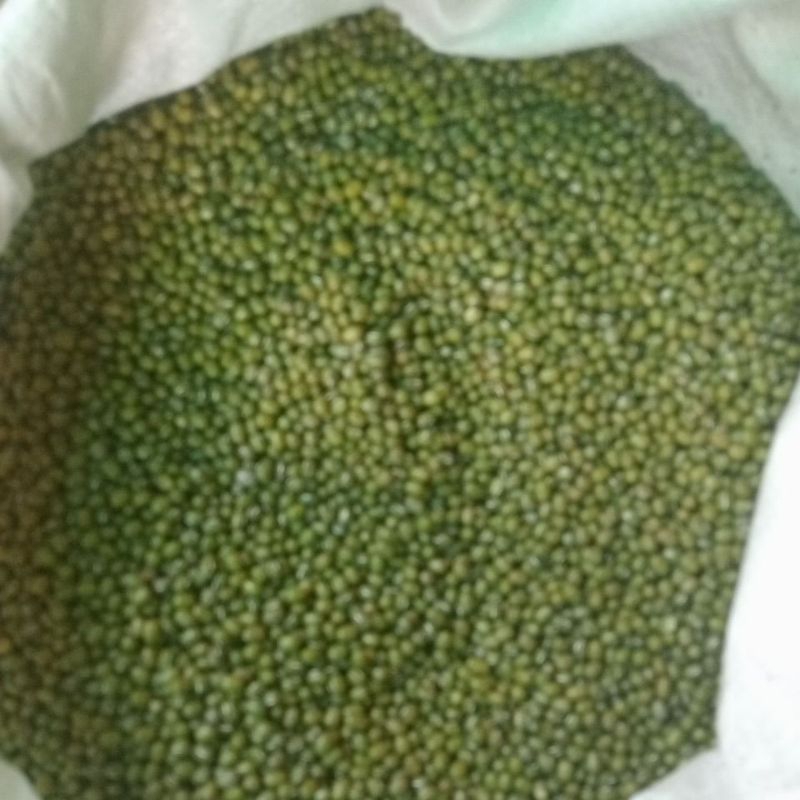 

kacang hijau bubur super premium per 1kg