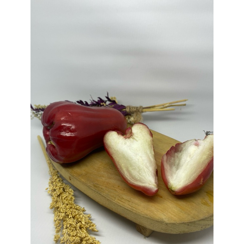 

myguava jambu citra jumbo