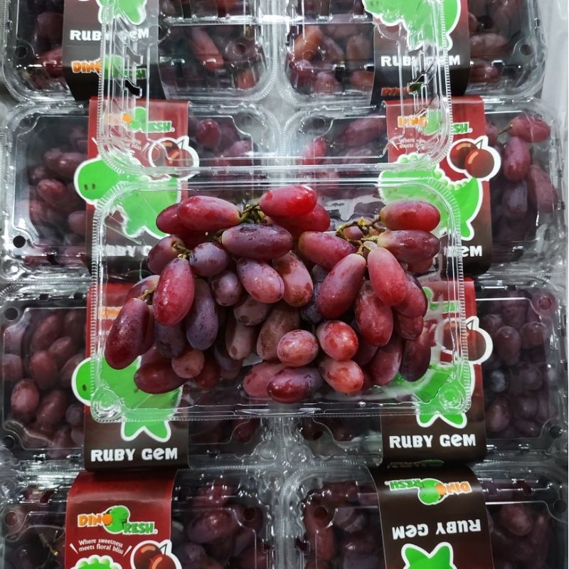 

[ANGGUR ENAK RESTOCK KIRIM INSTAN/SAMEDAY] Anggur Scarlett Crimson Fresh Seedless Manis Krenyes 500gr