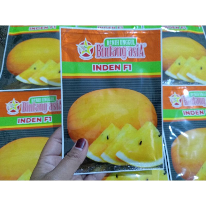 BENIH SEMANGKA INDEN