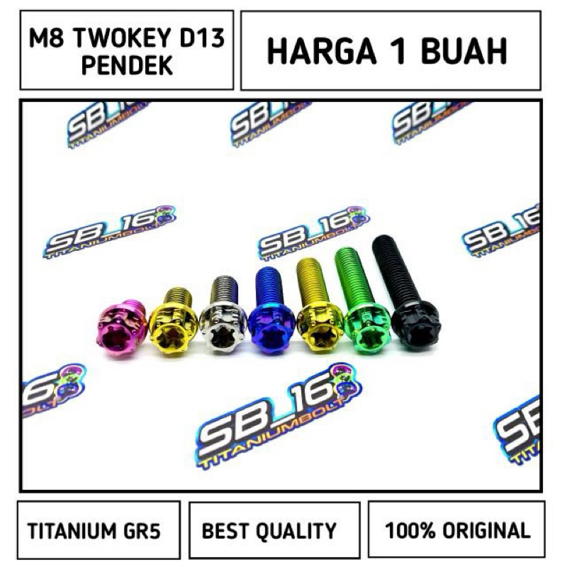 M8 TWOKEY D13 TITANIUM GR5 (DRAT12) PENDEK