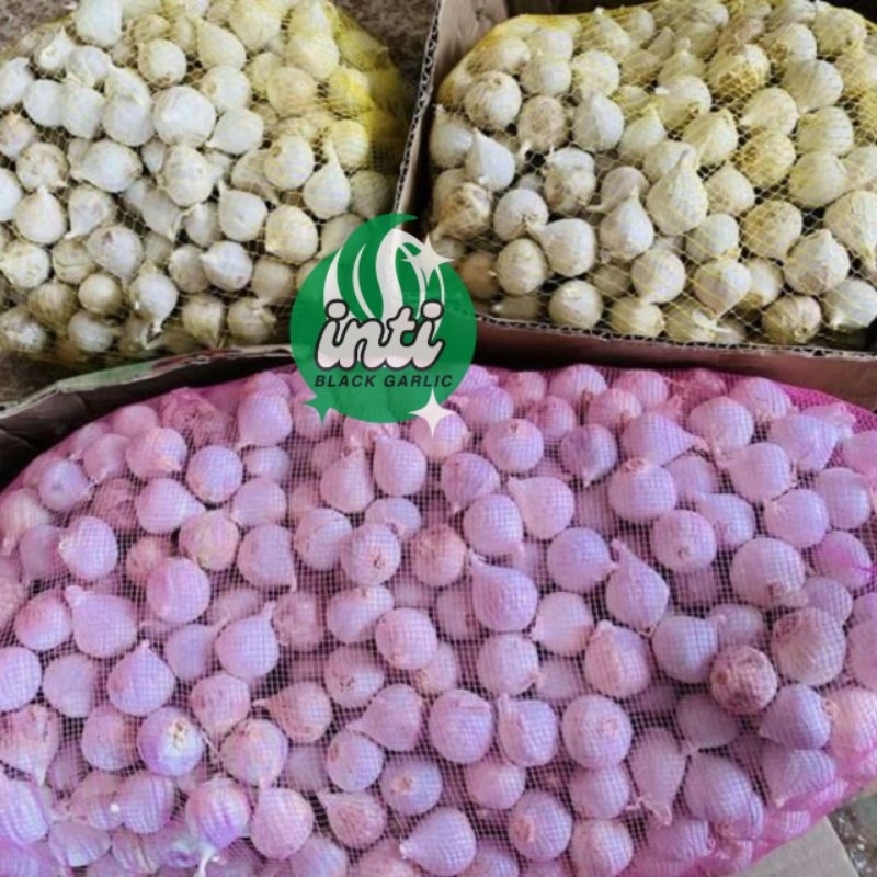 

Bawang Putih Tunggal Super 200gr Single Garlic Bawang Lanang Fresh
