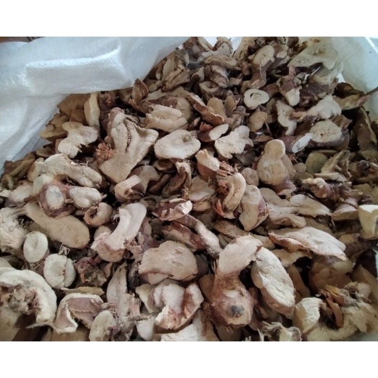

Lengkuaslaos kering galangal 1kg