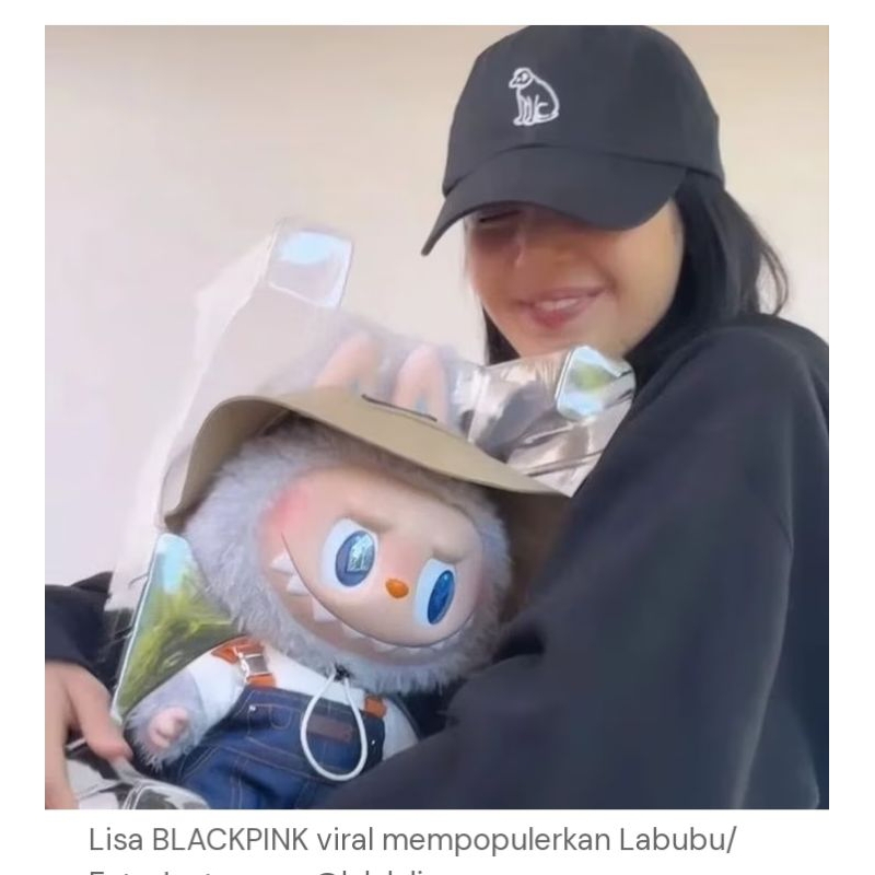 LABUBU Dolls Boneka LABUBU POPMART