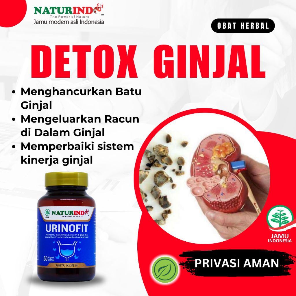 Detox Ginjal Obat Batu Ginjal Kista Ginjal Cuci Darah Batu Empedu Urin Berbusa Ginjal Bengkak Herbal