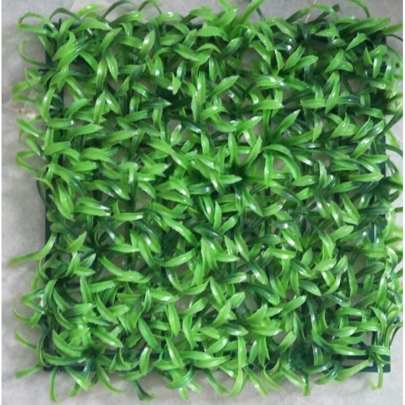 rumput  plastik#, rumput dinding# rumput taman