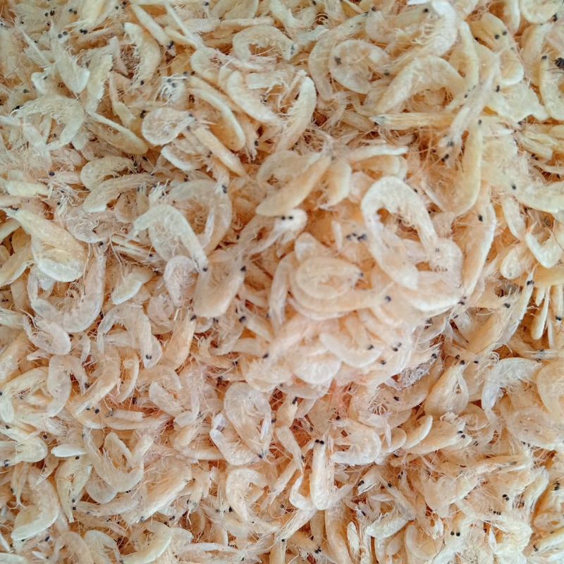 

ikan asin murah termurah rebon asin