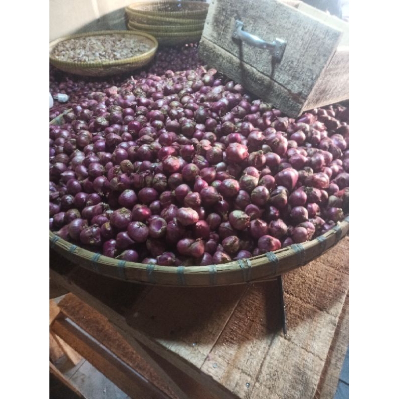 

Bawang merah Garut asli