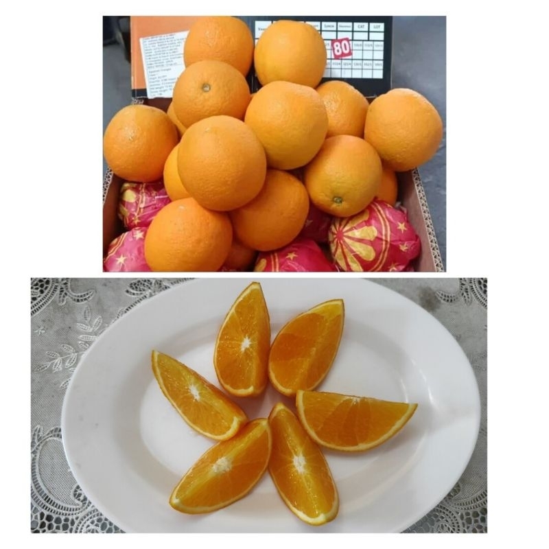 

Jeruk Sunkist Valencia 1 kg