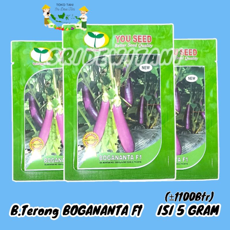 BIBIT TERONG UNGU BOGANANTA F1 5 GRAM (±1100) YOU SEED Setara Benih Antaboga M72 F1 Panah Merah