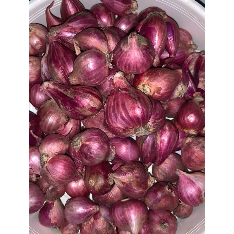 

Bawang merah 1 kg GRADE SUPER GEDE asli brebes